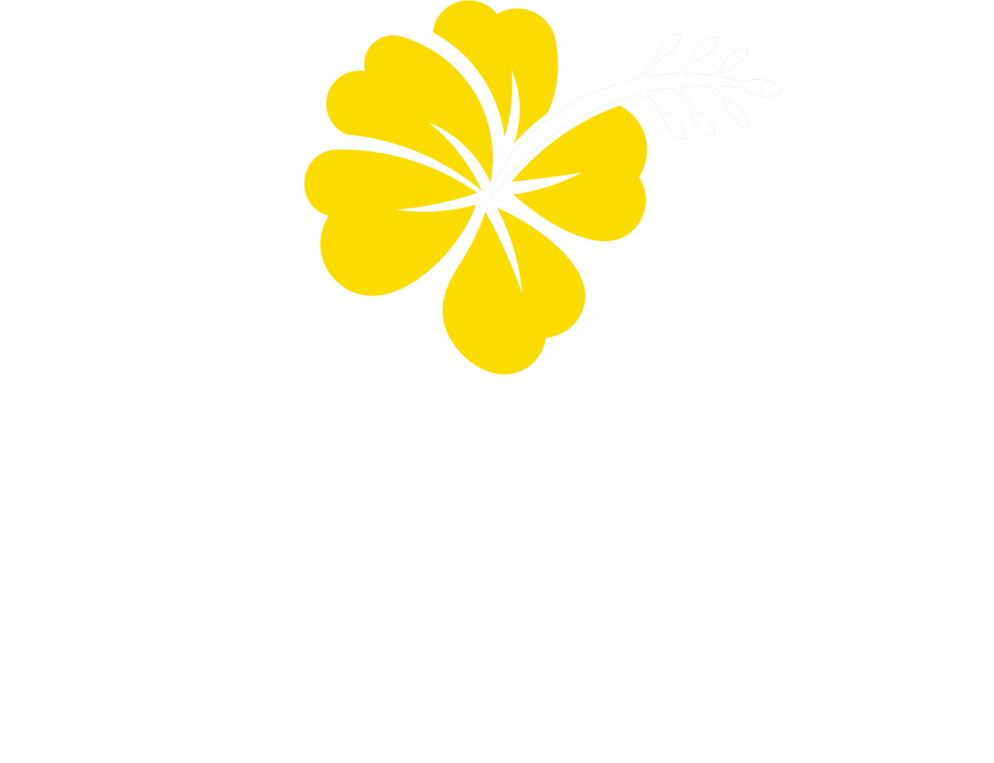 Mayha Haitian Taste Store
